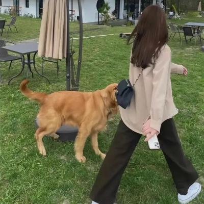 留给吾爱的日记