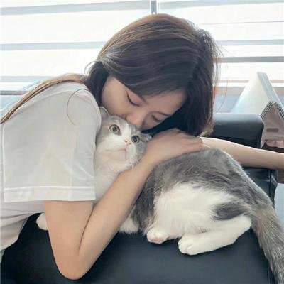 大虎鲨